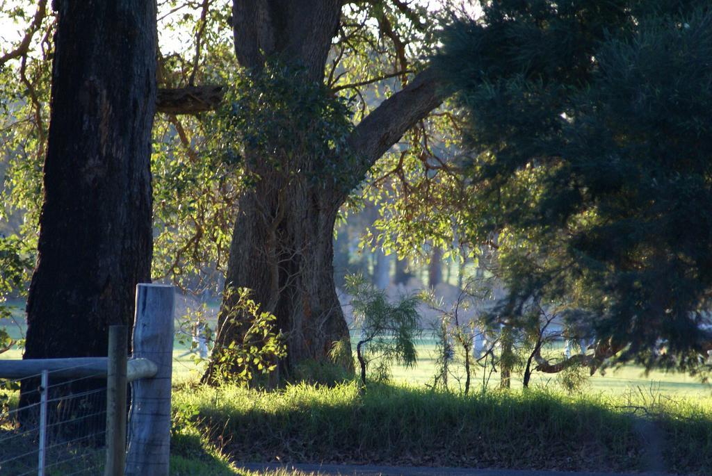 Ellensbrook Cottages Cowaramup Bagian luar foto