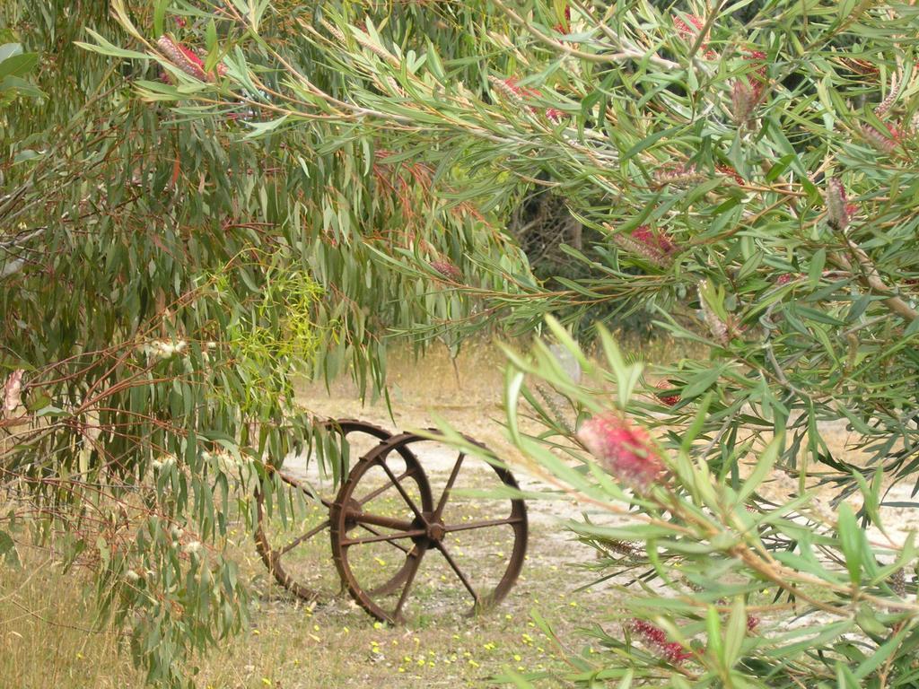 Ellensbrook Cottages Cowaramup Bagian luar foto
